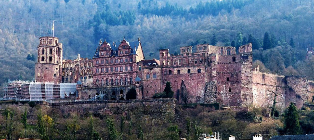 Wohnung Am Neckar Heidelberg Exterior photo